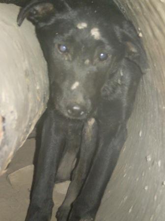 luk4